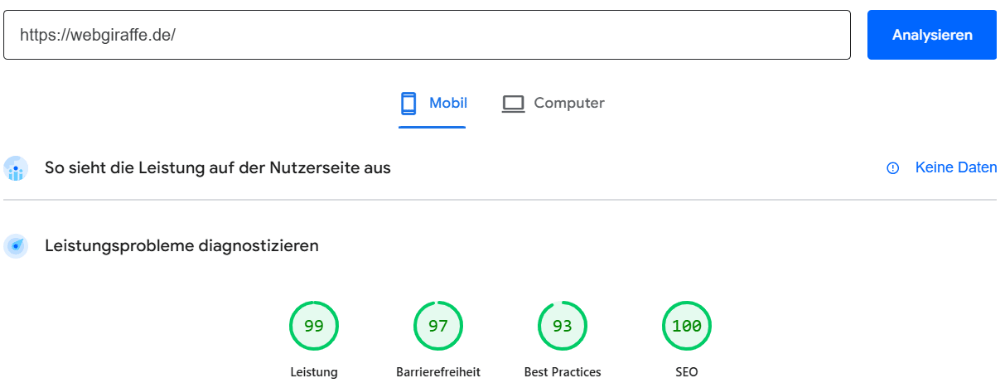 Webgiraffe, Webdesign aus Neu-Ulm, SEO optimierte Webseiten für Unternehmen