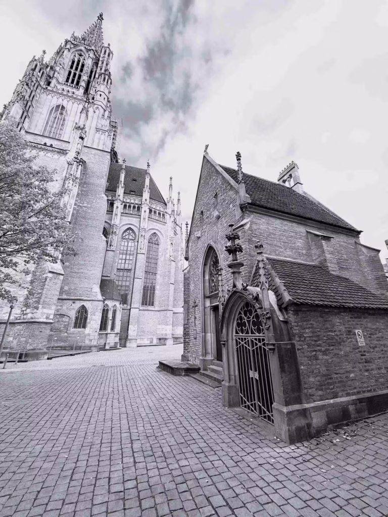 Webgiraffe, die Webdesign Agentur für Ulm. Webdesign, Webseiten & individuelle Weblösungen für Unternehmen aus Ulm, Neu-Ulm und Umgebung.